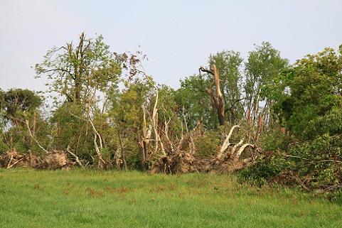 Zerstörungen bei Walda-Kleinthiemig  Foto: Heiko Wichmann